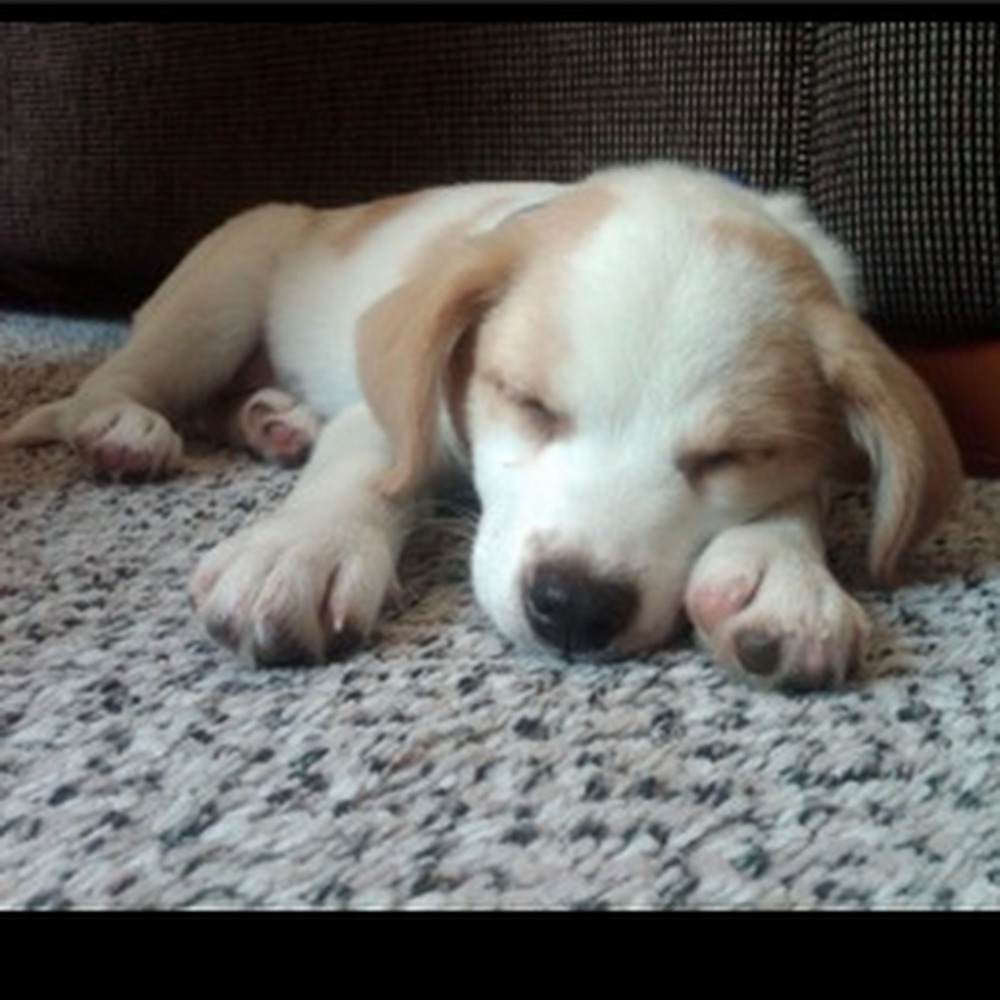 Meet your Posher, Liana